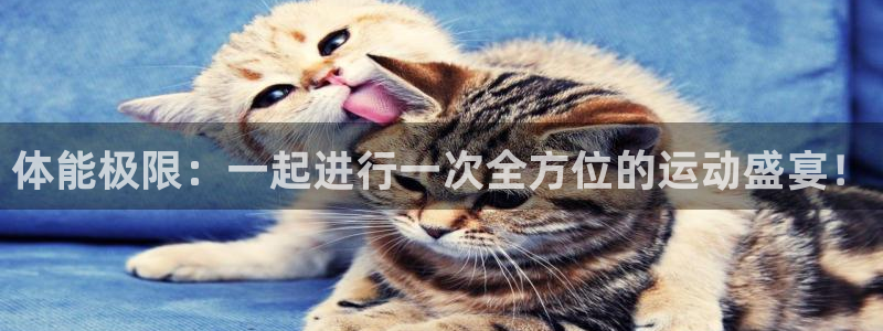安信16主管：体能极限：一起进行一次全方位的运动盛宴！