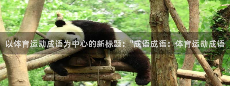 安信162注册：以体育运动成语为中心的新标题：\