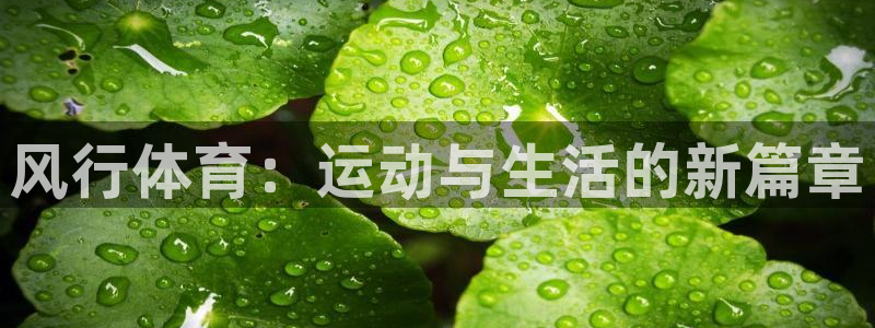 意昂体育注册：风行体育：运动与生活的新篇章