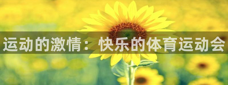 安信16体育凯捷登陆：运动的激情：快乐的体育运动会