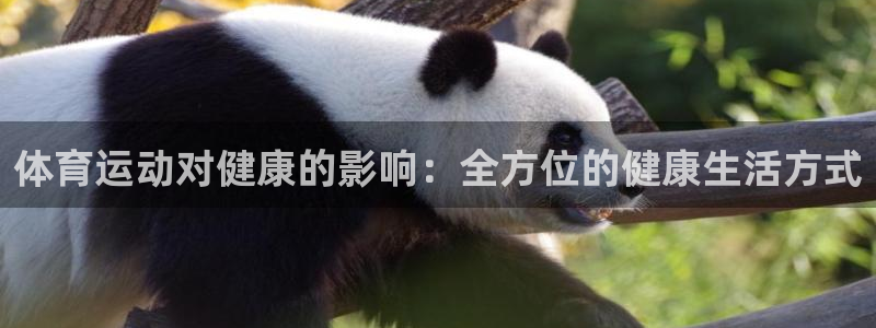 安信16体育4：体育运动对健康的影响：全方位的健康生活方式