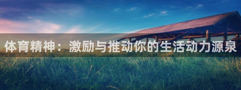 安信16平台开户链接：体育精神：激励与推动你的生活动力源泉