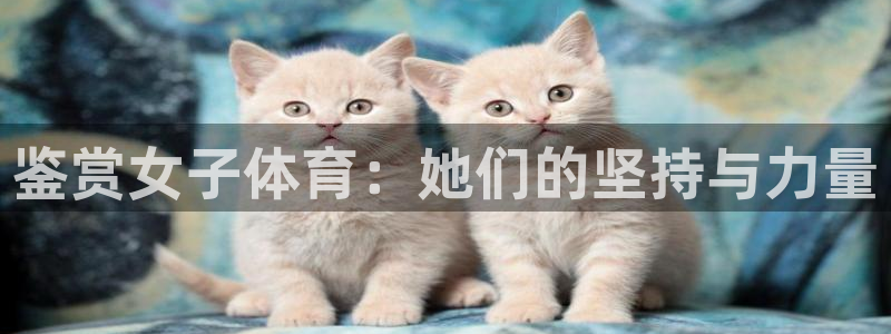 意昂包怎么样
