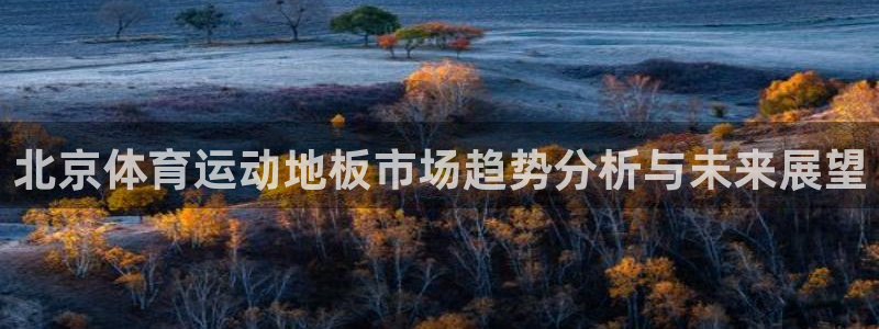 安信16体育eon：北京体育运动地板市场趋势分析与未来展望