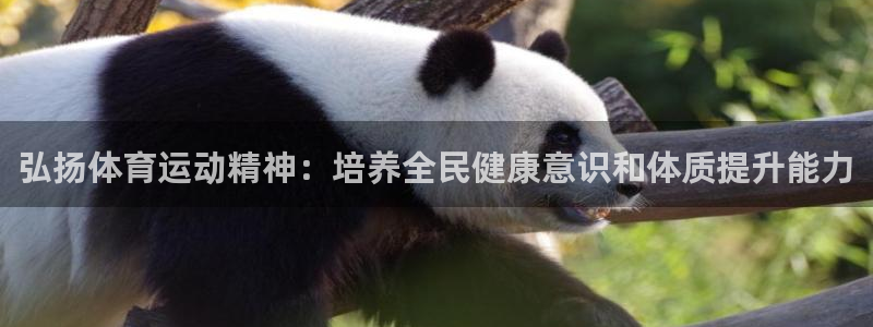意昂4平台注册：弘扬体育运动精神：培养全民健康意识和体质提升能力