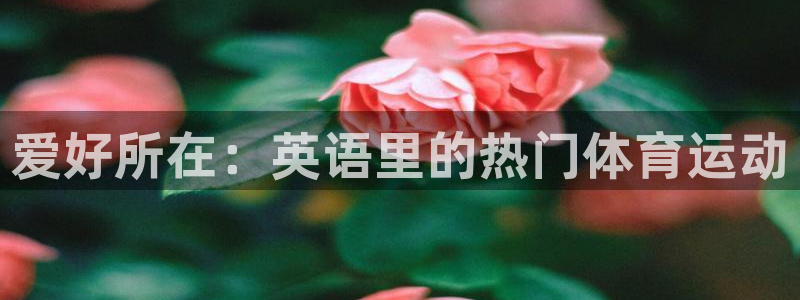 安信163：爱好所在：英语里的热门体育运动