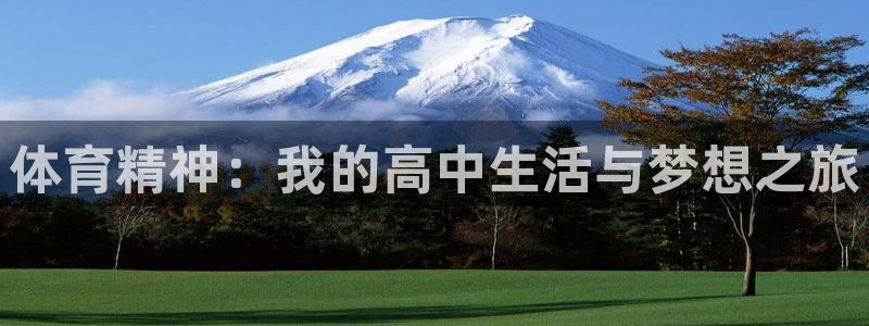 安信16集团总部：体育精神：我的高中生活与梦想之旅