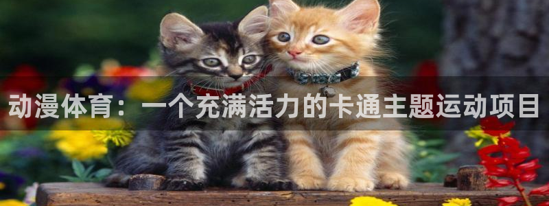 安信16体育注册平台：动漫体育：一个充满活力的卡通主题运动项目