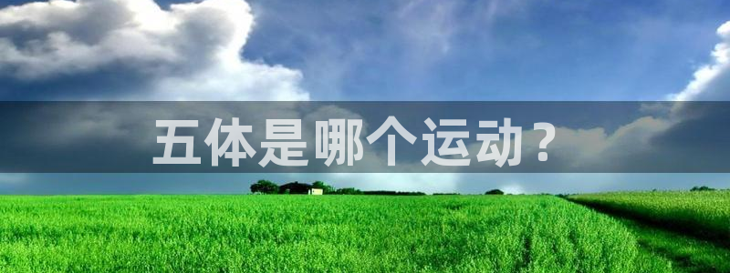 安信16主管：五体是哪个运动？