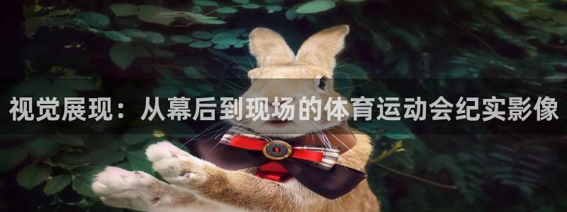 安信16体育论坛：视觉展现：从幕后到现场的体育运动会纪实影像