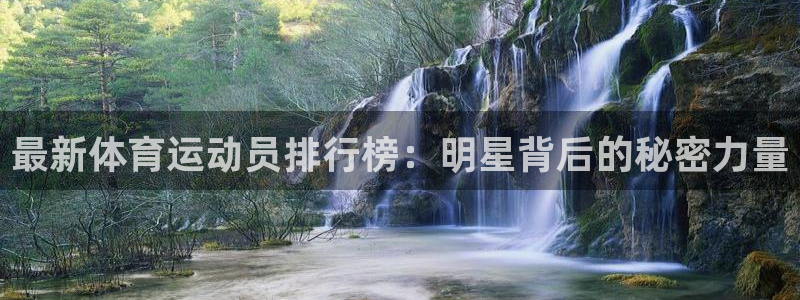 杭州意昂科技有限公司：最新体育运动员排行榜：明星背后的秘密力量