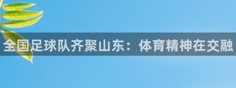 安信16平台招商：全国足球队齐聚山东：体育精神在交融
