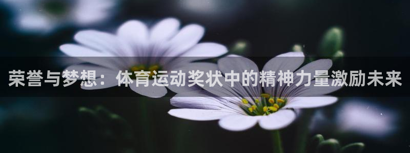 福建安信16机电股份公司：荣誉与梦想：体育运动奖状中的精神力量激励未来
