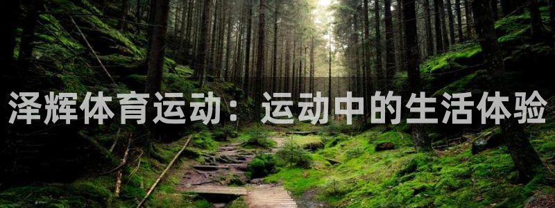 安信163登陆：泽辉体育运动：运动中的生活体验