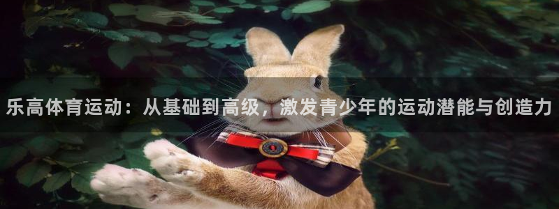意昂注册：乐高体育运动：从基础到高级，激发青少年的运动潜能与创造力
