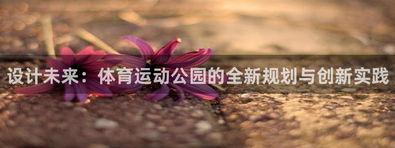 安信163登陆：设计未来：体育运动公园的全新规划与创新实践