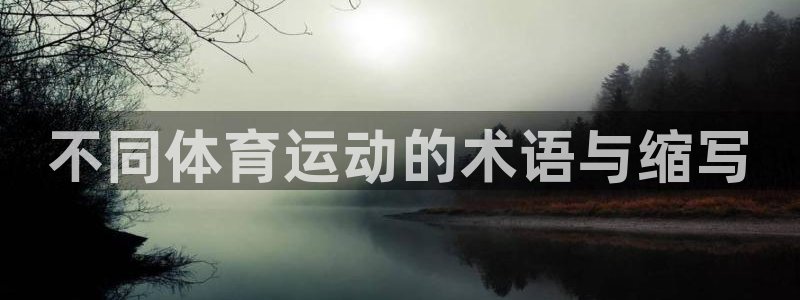 东莞市安信16电子科技有限公司：不同体育运动的术语与缩写