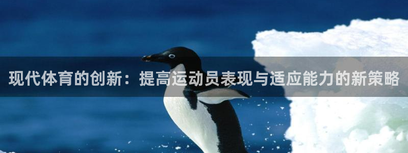 安信16主管：现代体育的创新：提高运动员表现与适应能力的新策略