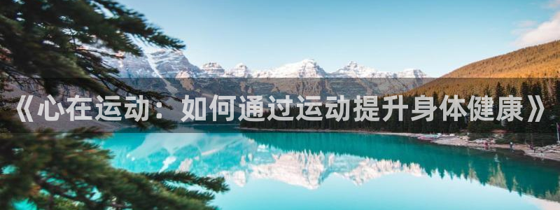 安信162登录地址：《心在运动：如何通过运动提升身体健康》
