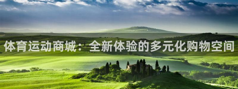 安信162登录入口：体育运动商城：全新体验的多元化购物空间