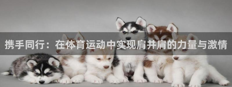 意昂4官网：携手同行：在体育运动中实现肩并肩的力量与激情