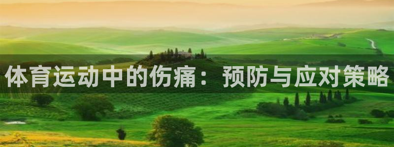 安信16平台总代理：体育运动中的伤痛：预防与应对策略