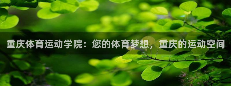 安信16体育：重庆体育运动学院：您的体育梦想，重庆的运动空间