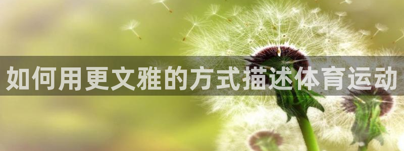 安信16体育论坛：如何用更文雅的方式描述体育运动