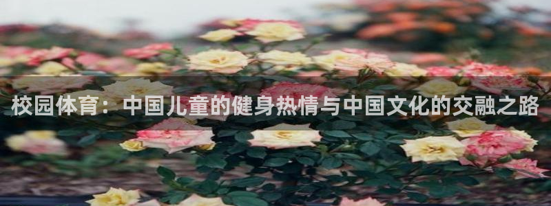 意昂3：校园体育：中国儿童的健身热情与中国文化的交融之路