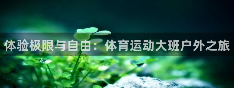 安信164官网：体验极限与自由：体育运动大班户外之旅